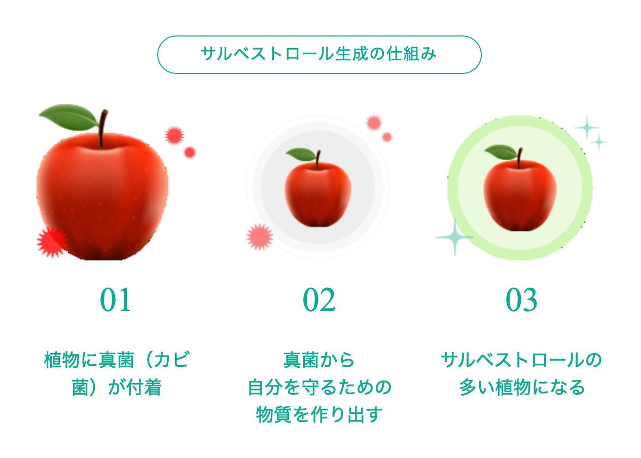 サルベストロール  1袋  Salvestrol PLATINUM2000 がん予防サプリ サルベストロールPLATINUM2000：90粒/1袋